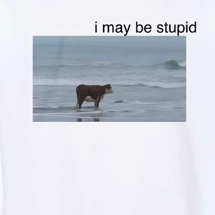 I May Be Stupid Cow On Beach Garment-Dyed Sweatshirt