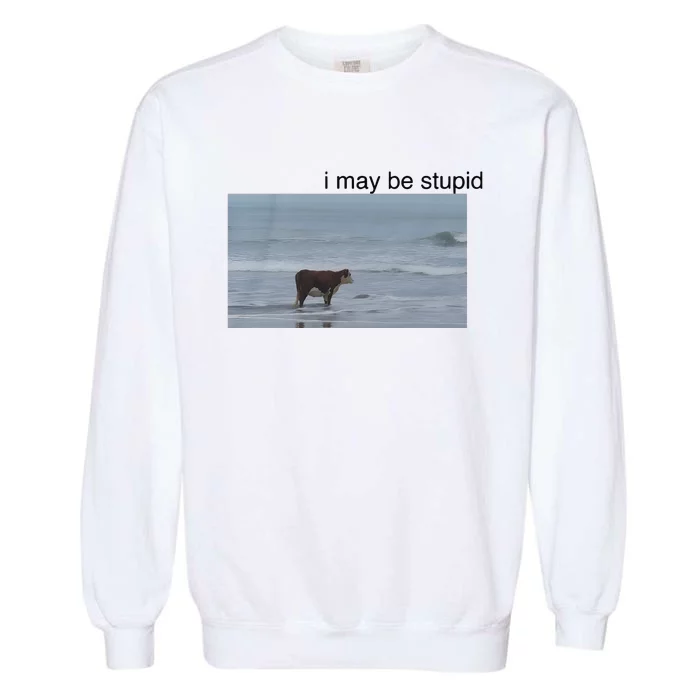 I May Be Stupid Cow On Beach Garment-Dyed Sweatshirt