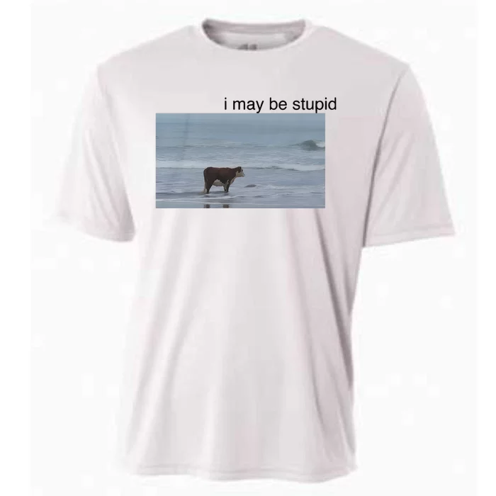 I May Be Stupid Cow On Beach Cooling Performance Crew T-Shirt