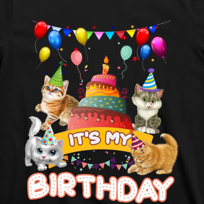 ItS My Birthday Cat And Kitten Party Day T-Shirt