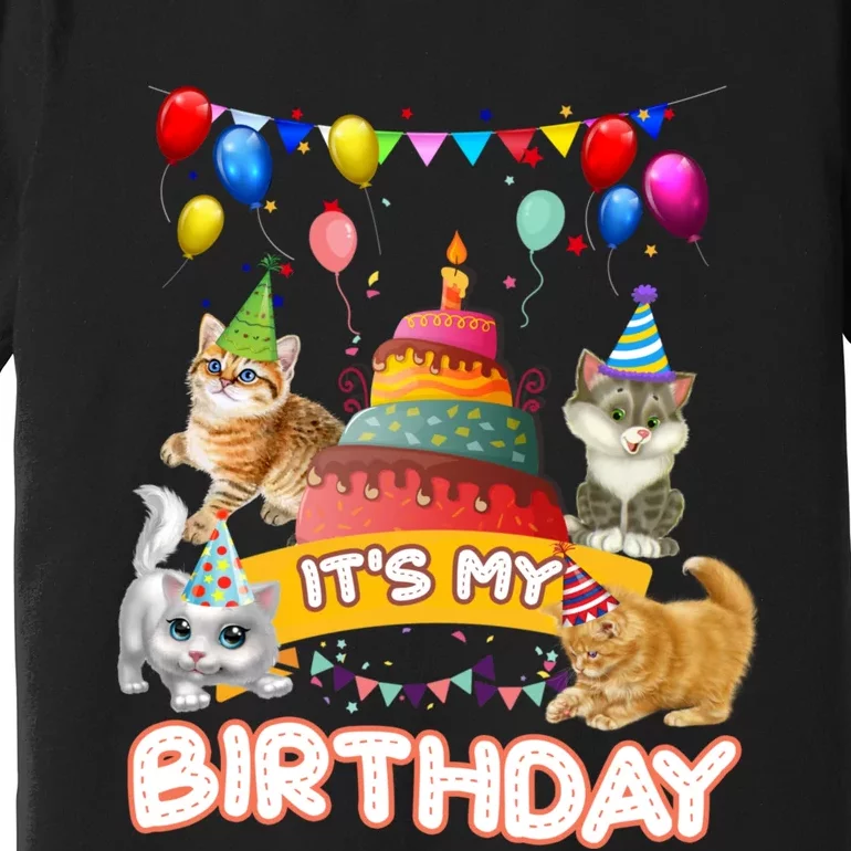 ItS My Birthday Cat And Kitten Party Day Premium T-Shirt