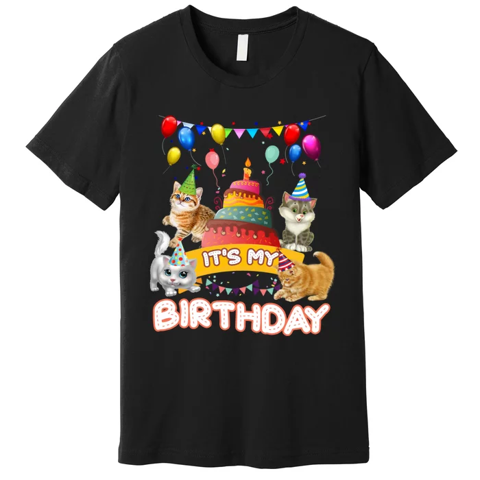 ItS My Birthday Cat And Kitten Party Day Premium T-Shirt