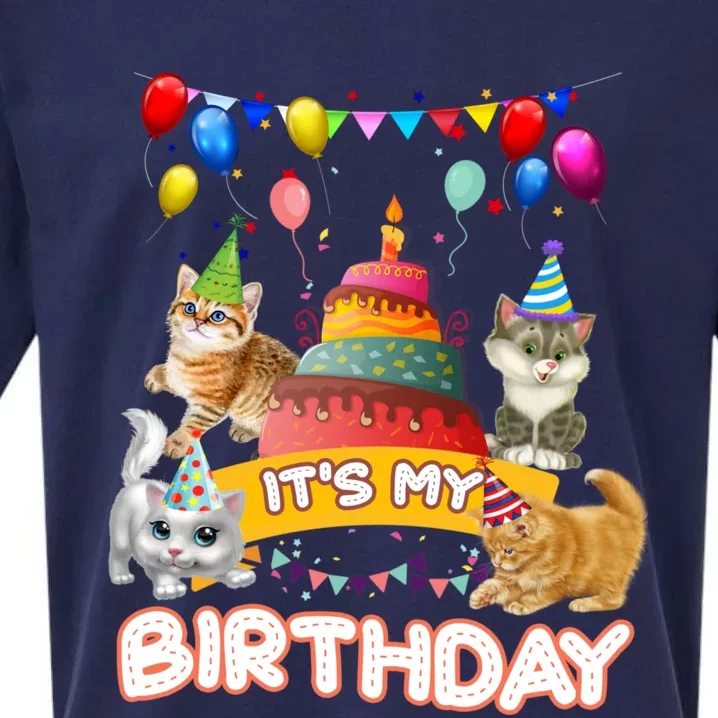 ItS My Birthday Cat And Kitten Party Day Sueded Cloud Jersey T-Shirt