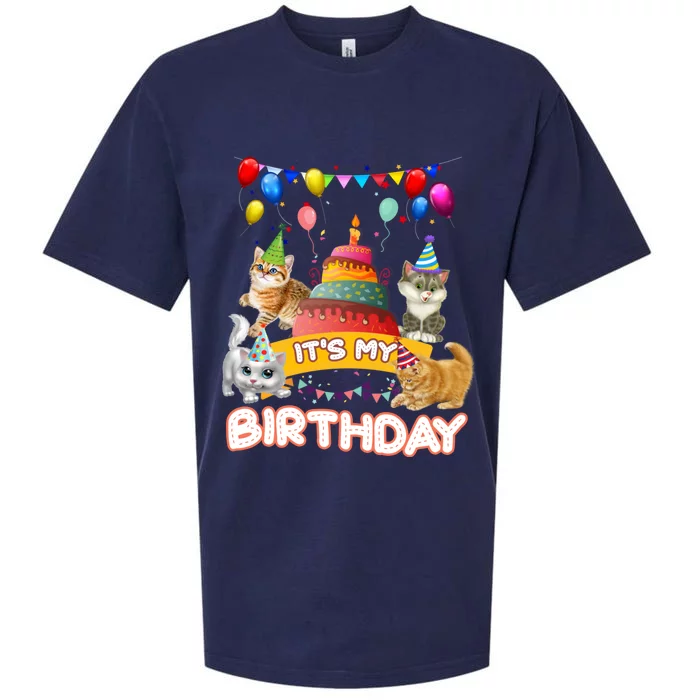 ItS My Birthday Cat And Kitten Party Day Sueded Cloud Jersey T-Shirt