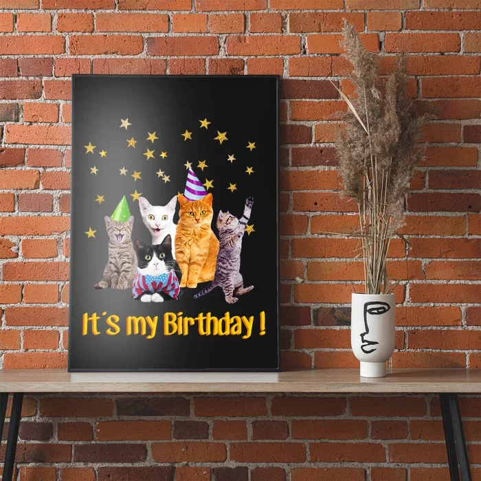 Its My Birthday Cute Cats Meow Poster