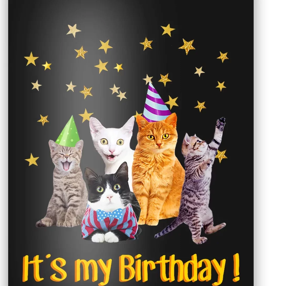 Its My Birthday Cute Cats Meow Poster