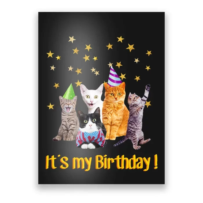 Its My Birthday Cute Cats Meow Poster