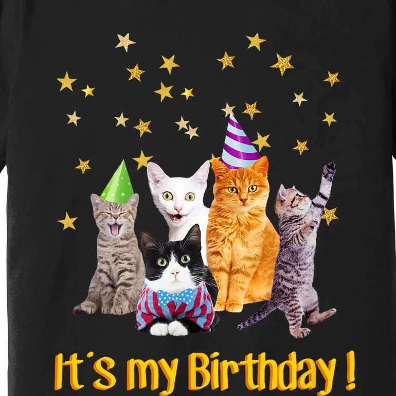 Its My Birthday Cute Cats Meow Premium T-Shirt