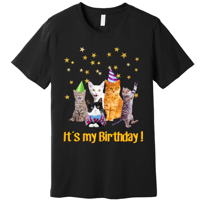 Its My Birthday Cute Cats Meow Premium T-Shirt