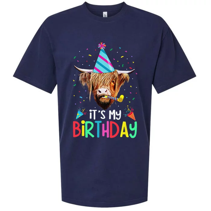 Its My Birthday Messy Hair Scottish Highland Cow Sueded Cloud Jersey T-Shirt