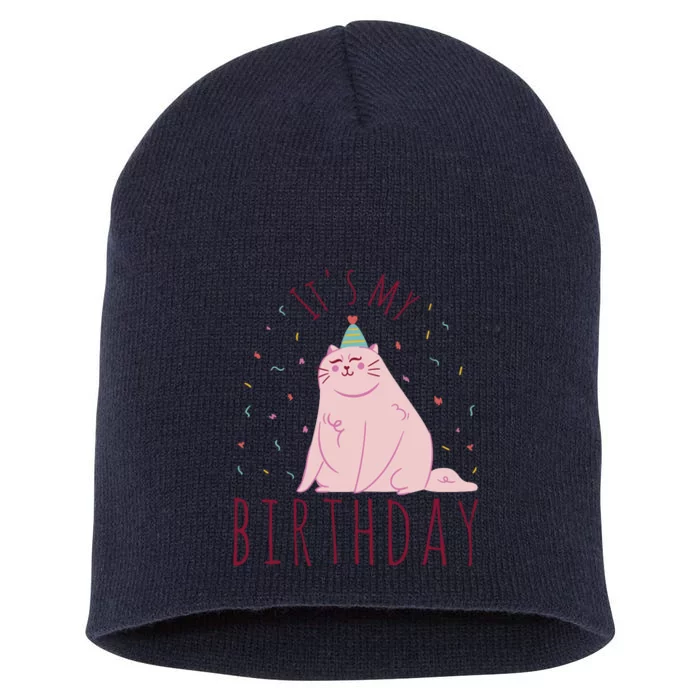 It's My Birthday Cat Short Acrylic Beanie