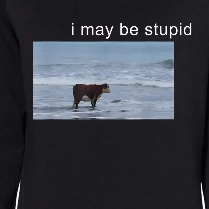 I May Be Stupid Cow Meme I May Be Stupid Funny Womens California Wash Sweatshirt