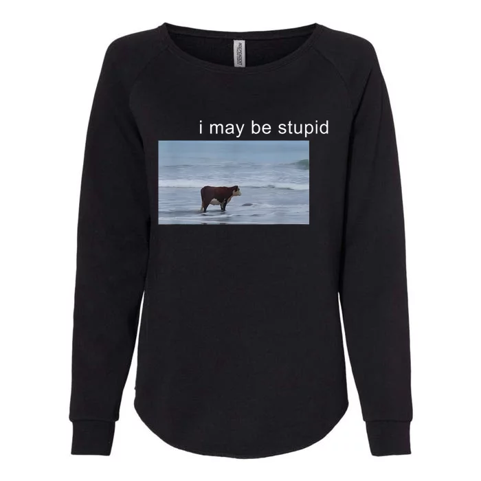 I May Be Stupid Cow Meme I May Be Stupid Funny Womens California Wash Sweatshirt