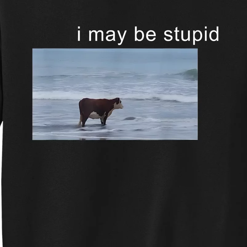 I May Be Stupid Cow Meme I May Be Stupid Funny Tall Sweatshirt