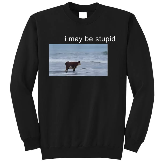 I May Be Stupid Cow Meme I May Be Stupid Funny Tall Sweatshirt