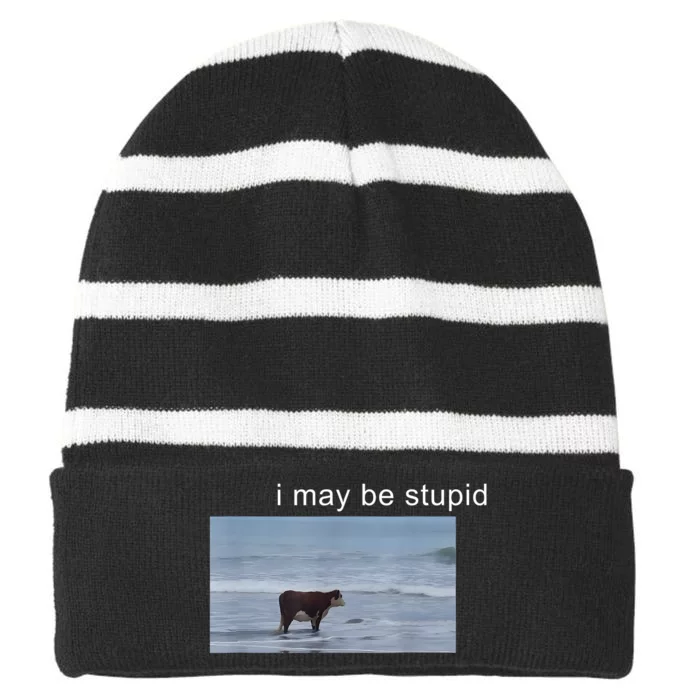 I May Be Stupid Cow Meme I May Be Stupid Funny Striped Beanie with Solid Band