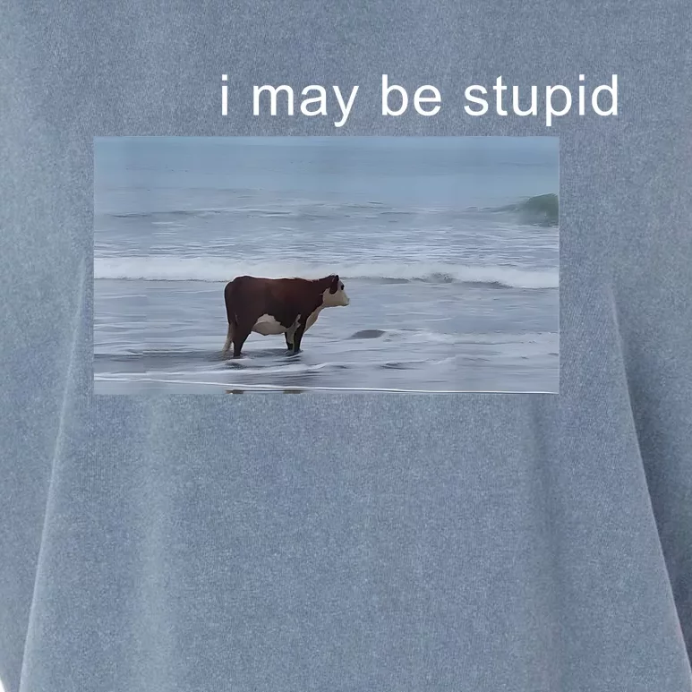 I May Be Stupid Cow Meme I May Be Stupid Funny Garment-Dyed Women's Muscle Tee