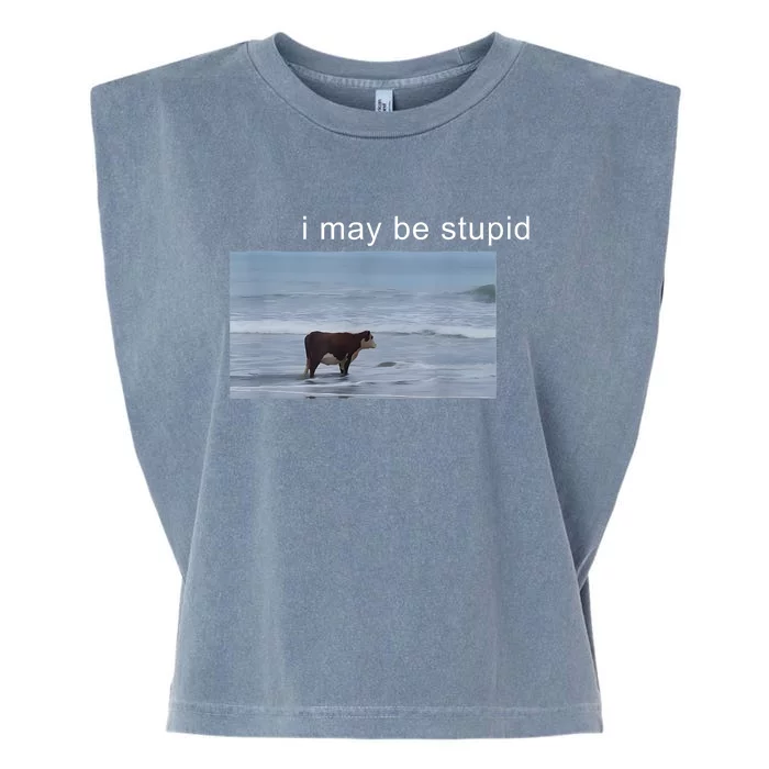 I May Be Stupid Cow Meme I May Be Stupid Funny Garment-Dyed Women's Muscle Tee