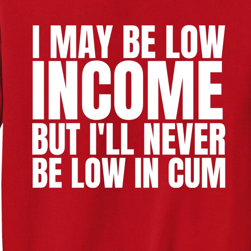 I May Be Low Income But I'll Never Be Low In Cum Funny Adult Sweatshirt