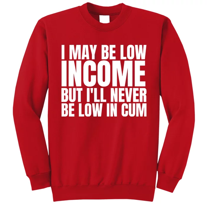 I May Be Low Income But I'll Never Be Low In Cum Funny Adult Sweatshirt