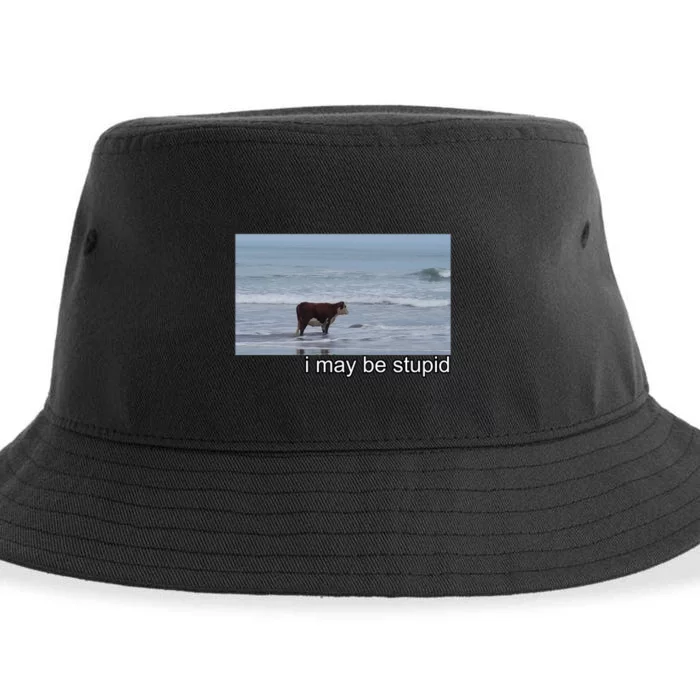 I May Be Stupid Funny Sustainable Bucket Hat