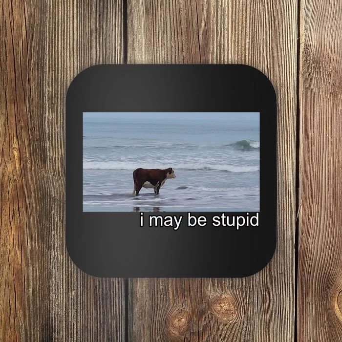 I May Be Stupid Funny Coaster