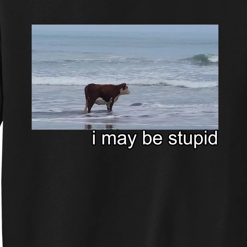 I May Be Stupid Funny Tall Sweatshirt