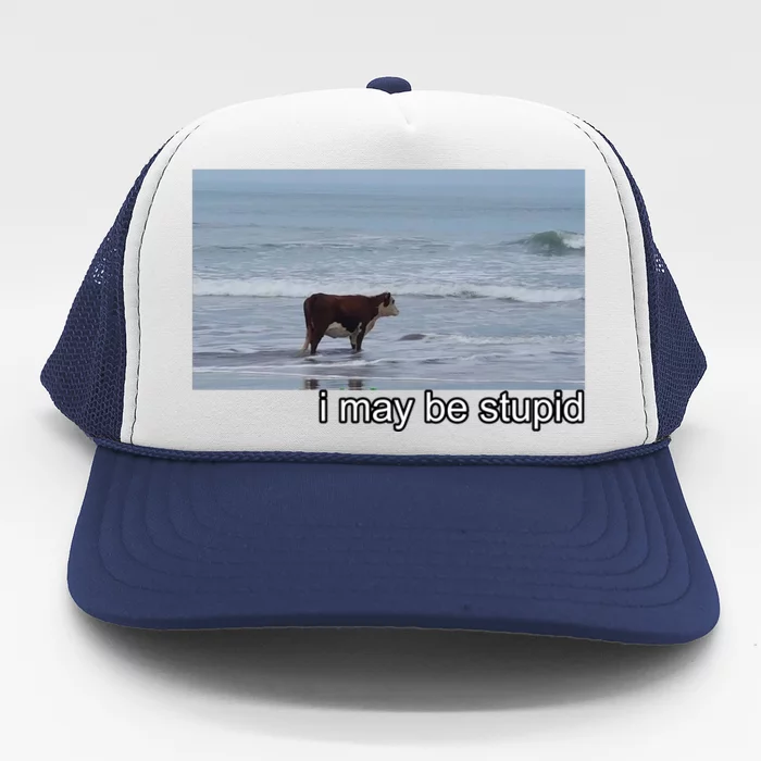 I May Be Stupid Funny Trucker Hat