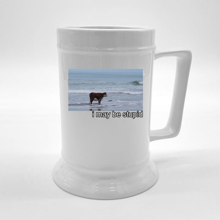 I May Be Stupid Funny Front & Back Beer Stein