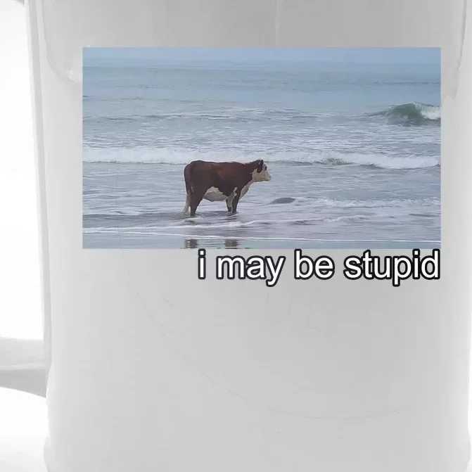 I May Be Stupid Funny Front & Back Beer Stein