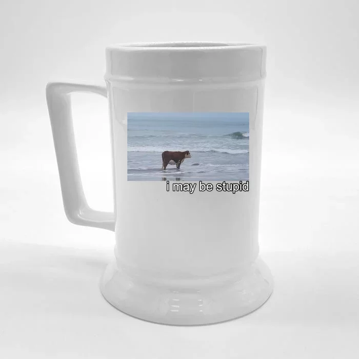 I May Be Stupid Funny Front & Back Beer Stein