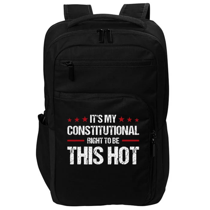 ItS My Constitutional Right To Be This Hot Impact Tech Backpack