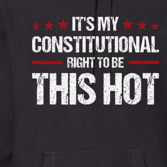 ItS My Constitutional Right To Be This Hot Premium Hoodie