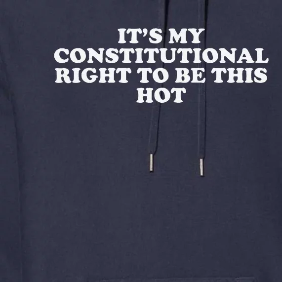 ItS My Constitutional Right To Be This Hot Funny Premium Hoodie