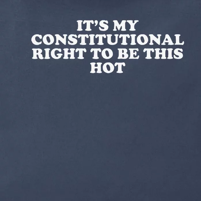 ItS My Constitutional Right To Be This Hot Funny Zip Tote Bag