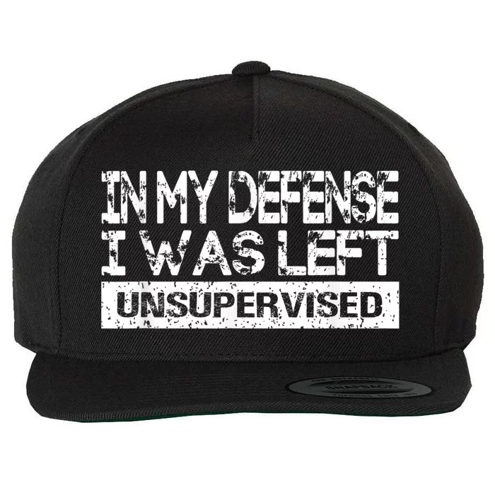 In My Defense I Was Left Unsupervised Cool Funny Wool Snapback Cap