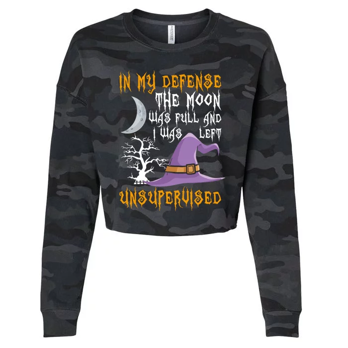 In My Defense The Moon Was Full Witch Gift Cropped Pullover Crew