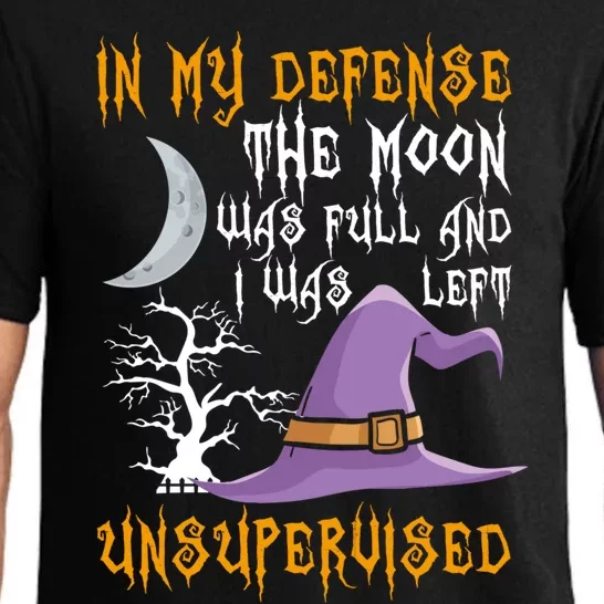 In My Defense The Moon Was Full Witch Gift Pajama Set