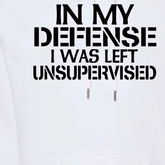 In My Defense I Was Left Unsupervised Costune For Fun Time Premium Hoodie