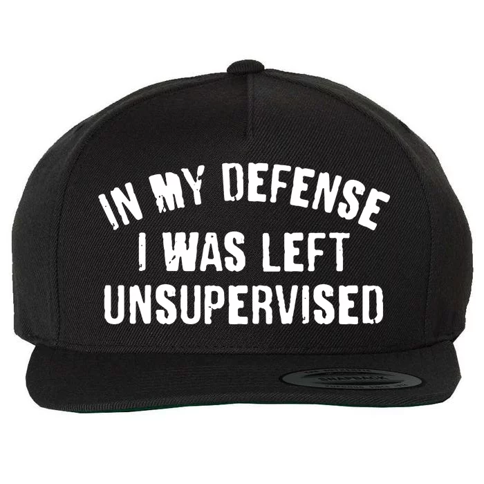 In My Defense I Was Left Unsupervised Wool Snapback Cap