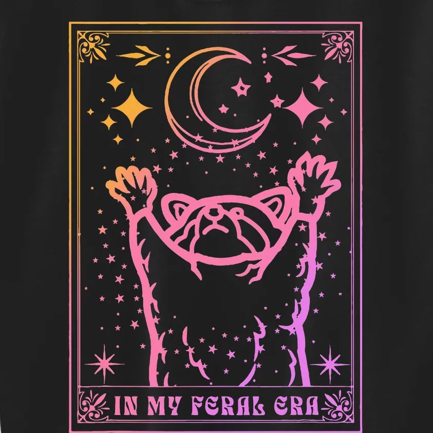 In My Feral Era Lover Raccoon Kids Sweatshirt