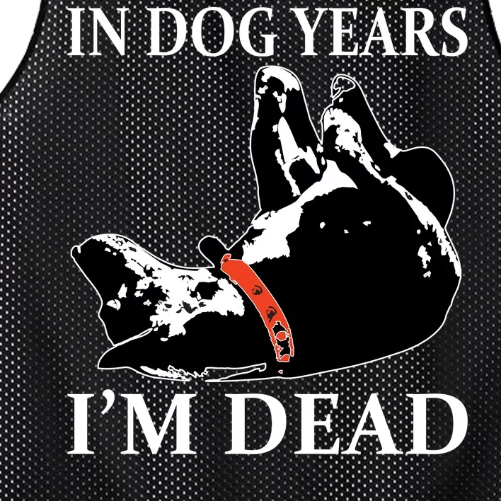 In Dog Years I'm Dead Funny Birthday Mesh Reversible Basketball Jersey Tank