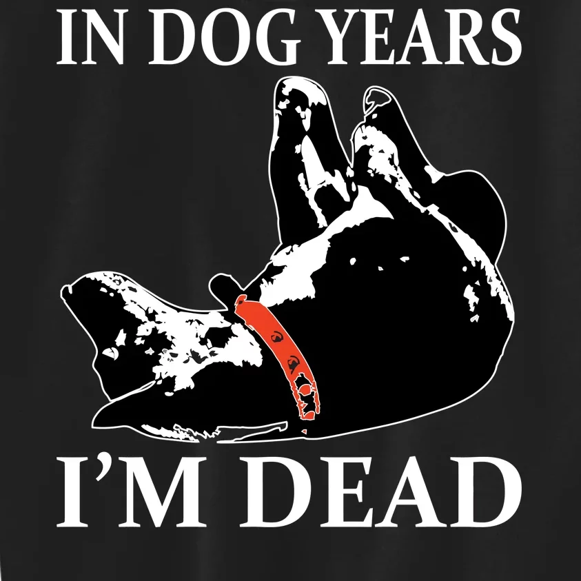 In Dog Years I'm Dead Funny Birthday Kids Sweatshirt