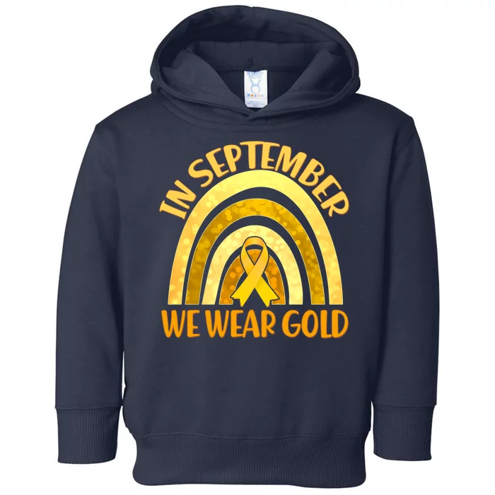 In September We Wear Gold Childhood Cancer Awareness Toddler Hoodie