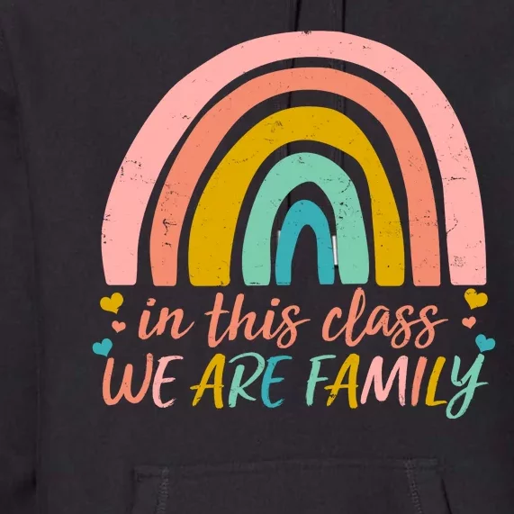 In This Class We Are Family Cute Painted Rainbow Premium Hoodie