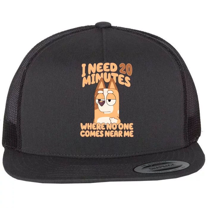 I Need 20 Minutes Where No One Comes Near Me Flat Bill Trucker Hat