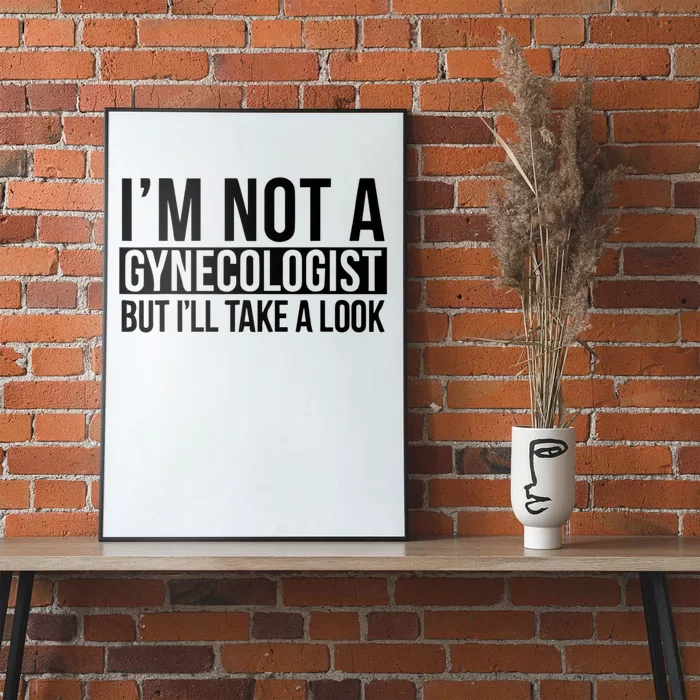 Im Not A Gynecologist But Ill Take A Look Funny Poster