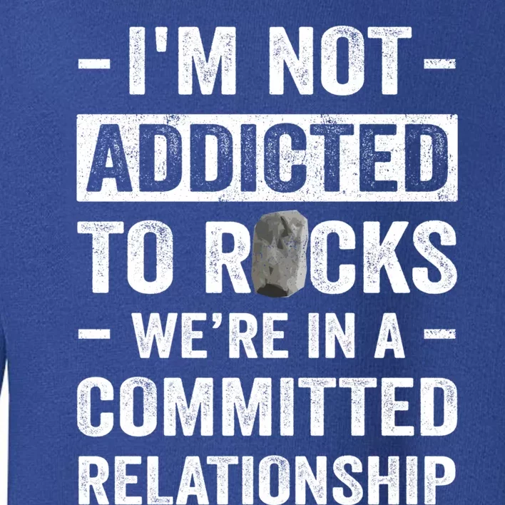 Im Not Addicted To Rocks Were In A Committed Relationship Cute Gift Toddler Sweatshirt