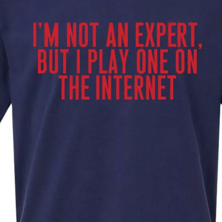 IM Not An Expert But I Play One On The Internet Sueded Cloud Jersey T-Shirt