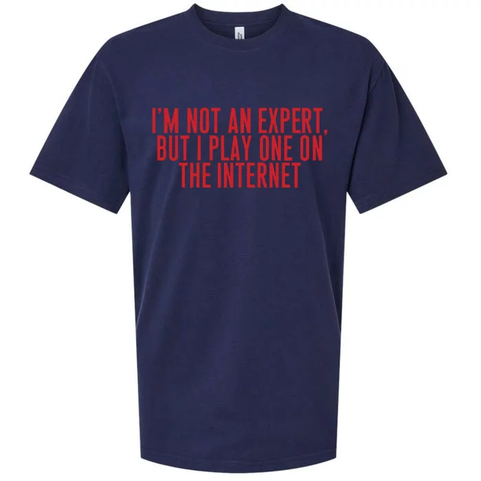 IM Not An Expert But I Play One On The Internet Sueded Cloud Jersey T-Shirt